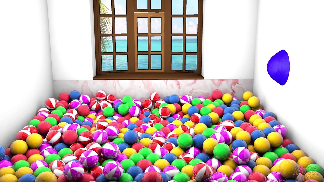 NEW Colors for kids Children Toddlers Babies to learn 3D - Learning Colours Collection