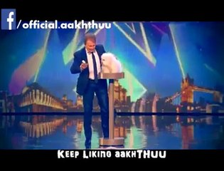 Funny and talking dog must watch
