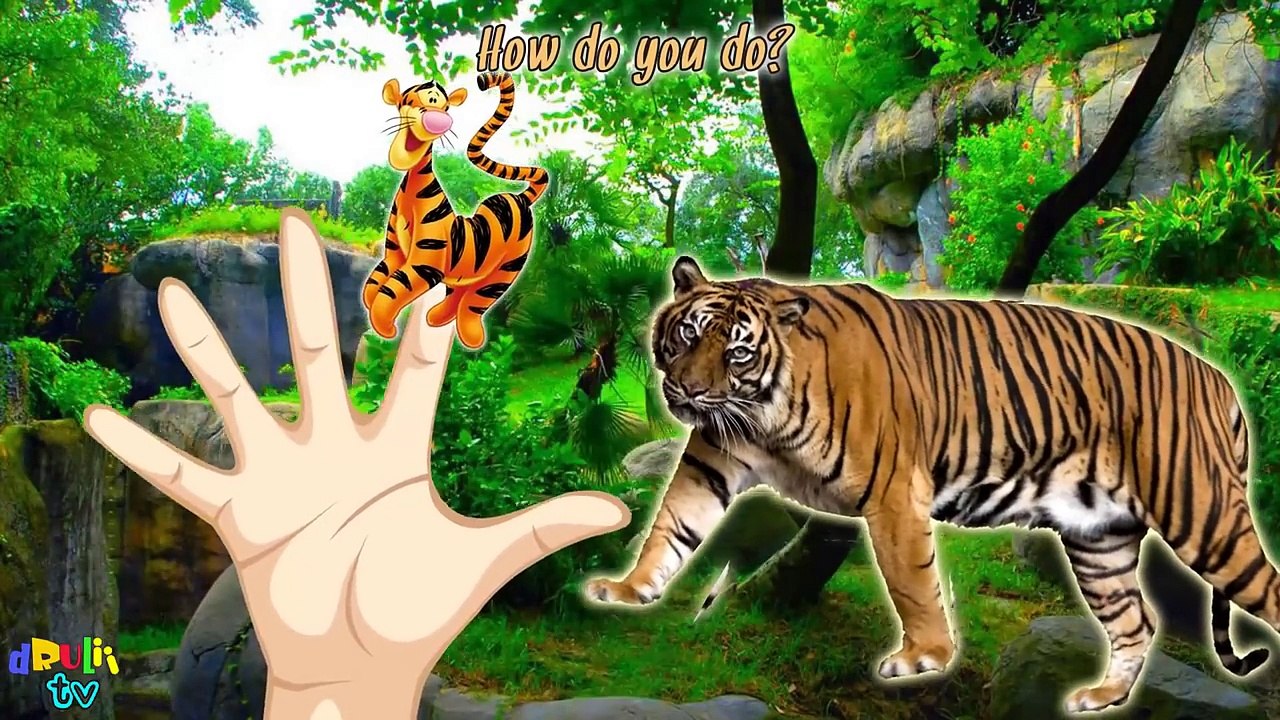 Winnie the Pooh Finger Family Song | Tigger, Piglet, Roo, Eeyore & Pooh Nursery Rhymes for kids