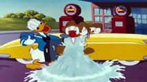 DONALD DUCK CARTOONS !!! DONALD DUCK & Chip an` Dale CARTOON EPISODES FULL COMPILATION 2015 [HD]