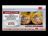 Business 24 / Flash Eco Cote d'Ivoire édition du Mercredi 31 Août 2016
