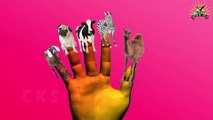 The Secret life of pets Finger Family | Deer Cat Zebra Nursery Rhymes for children