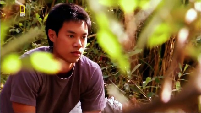 Охота на охотника В пасти дракона National Geographic