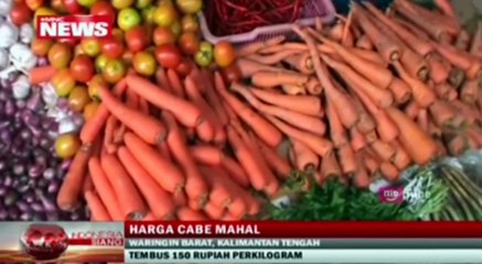 Download Video: Harga Cabai Naik, Harga Bawang Tak Mau Kalah