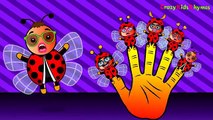 Finger Family Rhymes _ Bugs Finger Family Song _ Daddy Finger Nursery Rhymes
