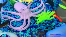 ANIMAL PLANET MEGA OCEAN TUB SHARKS DOLPHINS TURTLES SEAHORSE STARFISH OCTOPUS WHALE CRAB - UNBOXING-xw7X