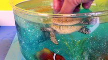 DIY SHARK Toys Slime Aquarium Fish Tank - Toy Sharks, Sea Animals, Toys and Slime _ Craft
