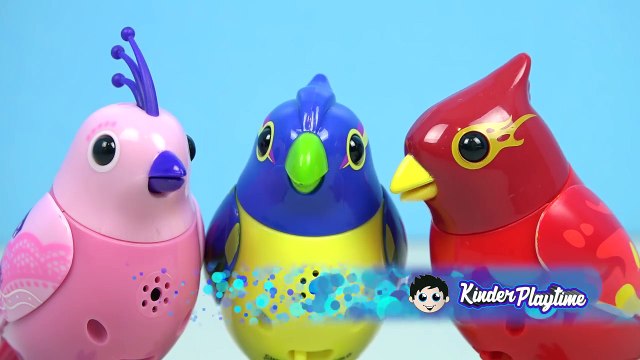 DigiBirds Singing Bird Toys | Kinder Playtime Toy Spotlight