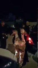 شوف بنات تونس فش تعمل فالشارع فضايح