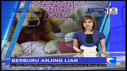 Polisi dan Warga di Palembang Berburu Anjing Liar