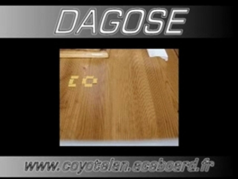 Coyote lan 87