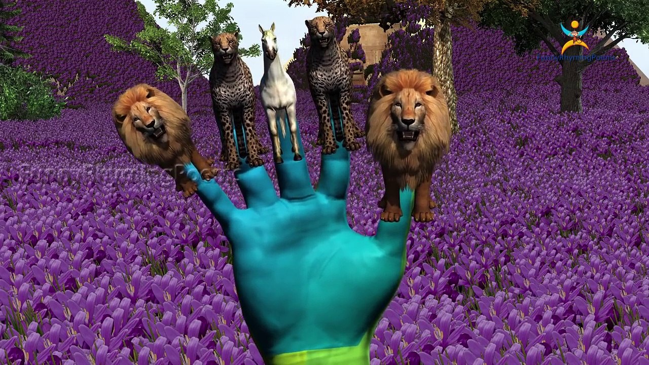 Tiger Finger family 3d rhyme | Animated Nursery Children Finger Family song