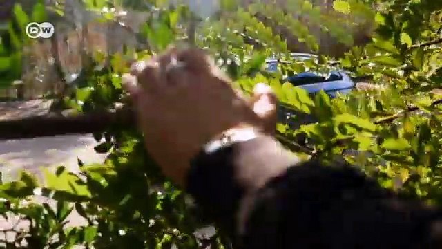 سكودا Kodiaq | عالم السرعة