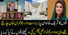 Maryam Nawaz Got Intense Remarks From Judiciary in Panama Leaks Case