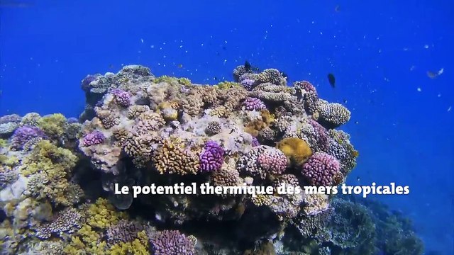 DCNS Energies : un nouvel acteur industriel des énergies marines renouvelables