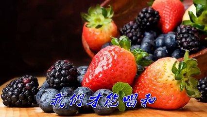 生日快樂歌 mp4 95年全新舞曲版 伍思凱