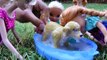 Muddy Puppy! ELSA & ANNA toddlers give their Puppy a Bath - Soap Bubbles Foam Dirty Play in Mud-ATI