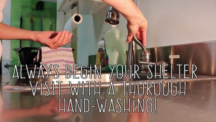 Cat Shelter Room Cleaning 101-zqBdEVy-Lcg