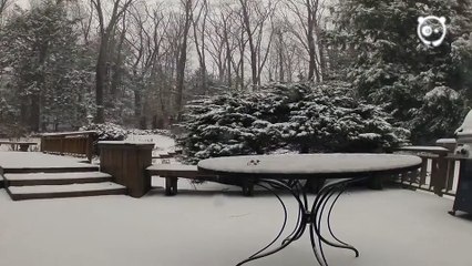 Kar yağışının hızlandırılmış görüntüsü