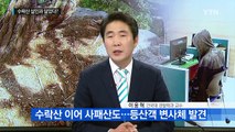 사패산 살인 사건, 금품 노린 범행으로 결론 / YTN (Yes! Top News)