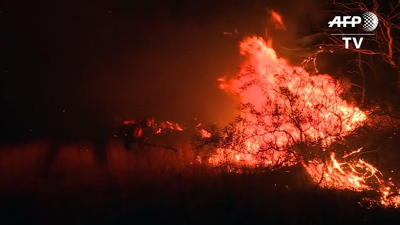 Frenan avance de incendios en llanuras de la Pampa argentina