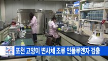[YTN 실시간뉴스] 포천 고양이 변사체 조류 인플루엔자 검출 / YTN (Yes! Top News)