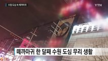 [영상] 한 달째 수원 도심 속 떼까마귀 수천 마리 / YTN (Yes! Top News)