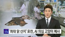 '최대 닭 산지' 포천, AI 감염 의심 고양이 폐사 / YTN (Yes! Top News)