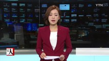 정부, AI 틈탄 비위생 달걀 유통 특별단속 / YTN (Yes! Top News)