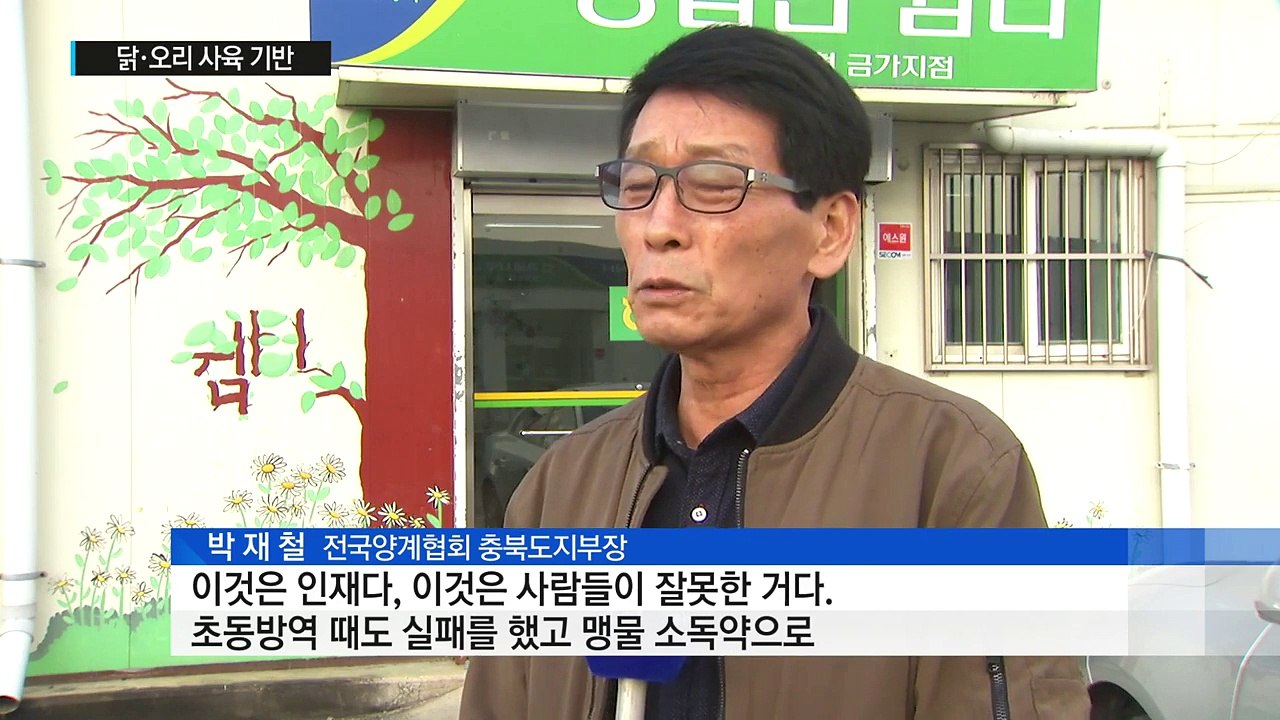 양계·오리농가 기반 붕괴...깊어지는 시름 / YTN (Yes! Top News)