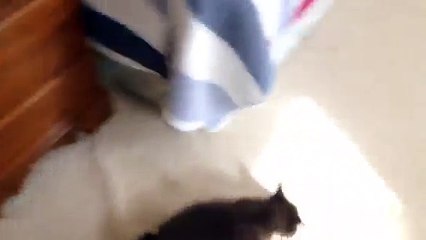 Truffle Shuffle, AKA Guinness-2dVnjeaTSuQ