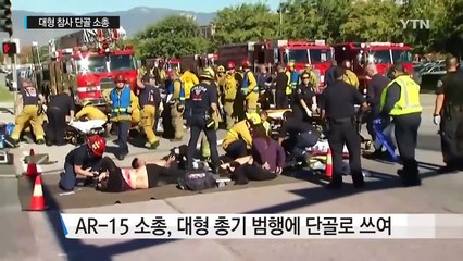 대형 참사 단골 무기 AR-15...껌 사듯 살 수 있다 / YTN (Yes! Top News)