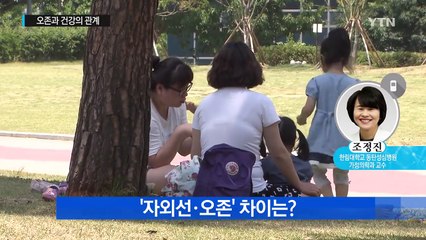 무더위 속 '오존'...건강에 미치는 영향은? / YTN (Yes! Top News)