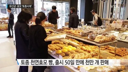 유산균·효모 '토종시대'...한국형 미생물 뜬다 / YTN (Yes! Top News)