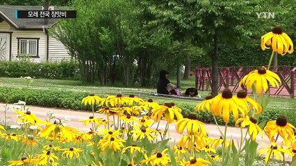 [날씨] 장마전선 내일 다시 북상...모레부터 전국 비 / YTN (Yes! Top News)
