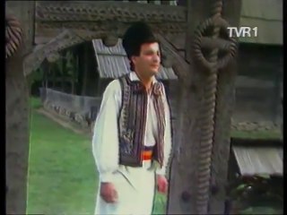 Adrian Stanca -Trandafir mandru-nflorit