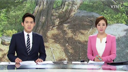 [중점] 성폭행 정황에도 강도살인...수사 갈팡질팡 / YTN (Yes! Top News)