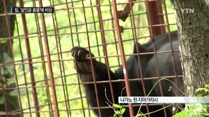 대도시 주택가에도...日 '살인 곰' 출몰 비상 / YTN (Yes! Top News)