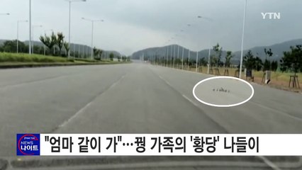 [영상] "엄마 같이 가"...꿩 가족의 '황당' 나들이 / YTN (Yes! Top News)