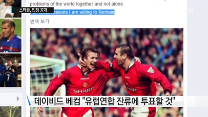 베컴도 '브렉시트' 반대...다이슨은 찬성 / YTN (Yes! Top News)