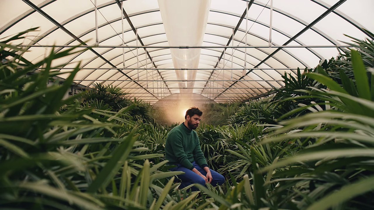 Dirty Projectors - Little Bubble