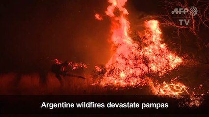 Argentine wildfires devastate Pampas