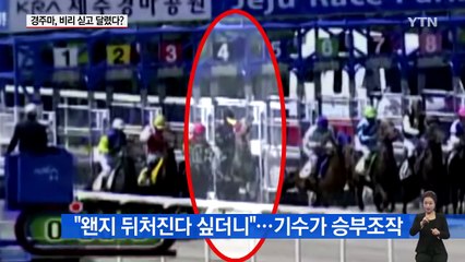 "왠지 뒤처진다 싶더니..." 경주마, 비리 싣고 달렸다? / YTN (Yes! Top News)