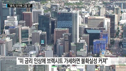 브렉시트 일어나면 한국경제 충격은? / YTN (Yes! Top News)