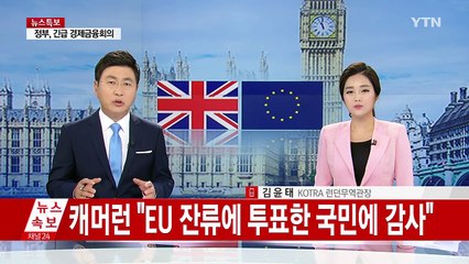 '브렉시트' 개표 시작..."EU 잔류 우세" / YTN (Yes! Top News)