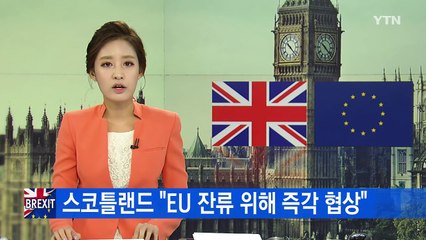 스코틀랜드 "EU 잔류 위해 즉각 협상" / YTN (Yes! Top News)