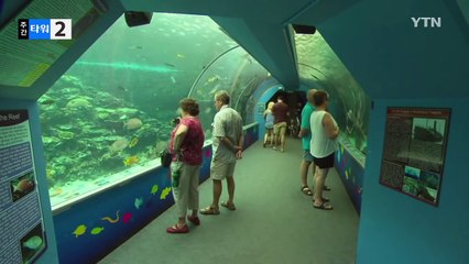 레오파드 상어 '처녀생식'으로 새끼 출산해 화제 / YTN (Yes! Top News)