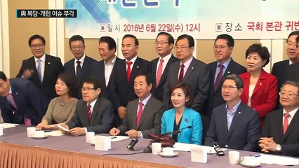 與 주요 이슈 부각에 대권 잠룡 '기지개 행보' / YTN (Yes! Top News)