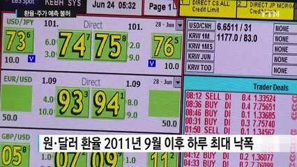 환율·주가 예측 불허...'불확실성의 공포' / YTN (Yes! Top News)