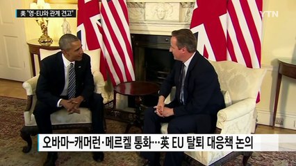 美 "영·EU와 관계 견고"...트럼프에 호재되나 / YTN (Yes! Top News)